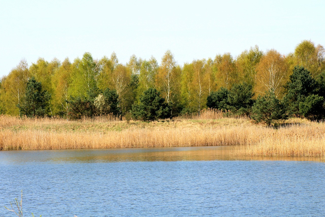 Ochrona zbiornika Czernica we WrocÅawiu