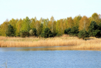 Ochrona zbiornika Czernica przed zÅotymi algami we WrocÅawiu